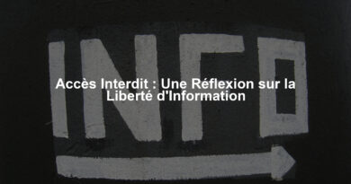 Accès Interdit : Une Réflexion sur la Liberté d'Information