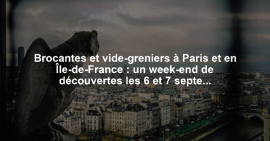 Brocantes et vide-greniers à Paris et en Île-de-France : un week-end de découvertes les 6 et 7 septembre 2025