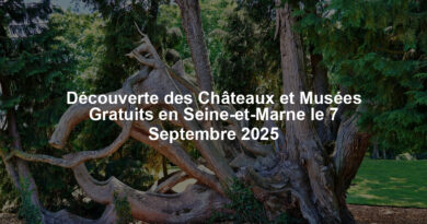 Découverte des Châteaux et Musées Gratuits en Seine-et-Marne le 7 Septembre 2025