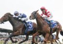 dimanche 7 septembre Quinté à Paris Longchamp à 15h15 - ici