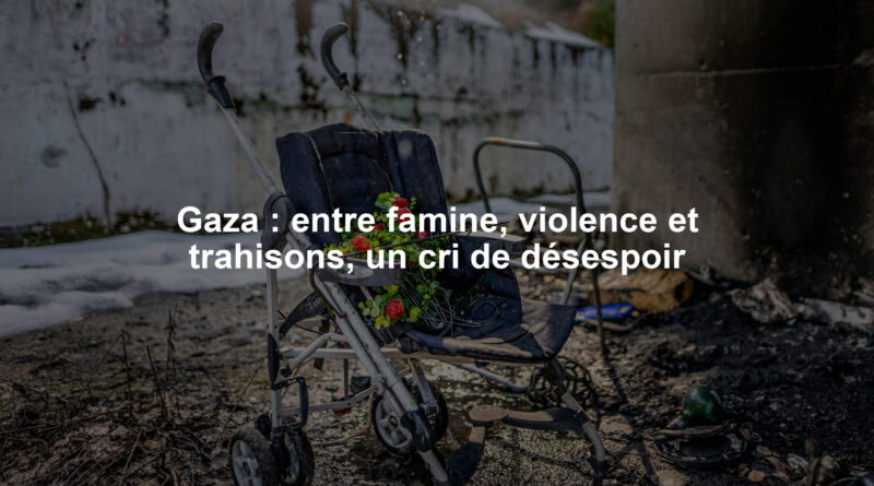 Gaza : entre famine, violence et trahisons, un cri de désespoir