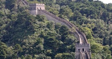 China,Beijing,Great Wall,Shanghai,Panda,Architecture,Asian culture,Landscape