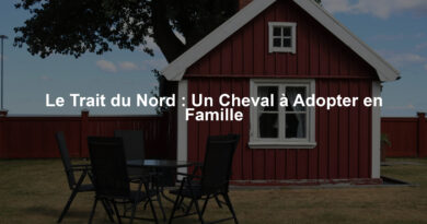 Le Trait du Nord : Un Cheval à Adopter en Famille