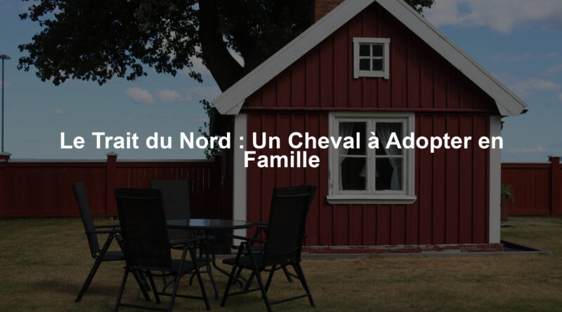 Le Trait du Nord : Un Cheval à Adopter en Famille