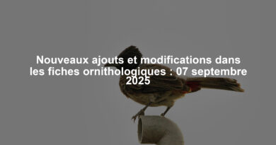 Nouveaux ajouts et modifications dans les fiches ornithologiques : 07 septembre 2025