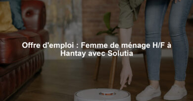 Offre d'emploi : Femme de ménage H/F à Hantay avec Solutia
