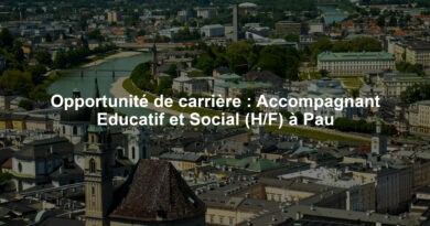 Opportunité de carrière : Accompagnant Educatif et Social (H/F) à Pau