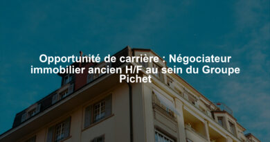 Opportunité de carrière : Négociateur immobilier ancien H/F au sein du Groupe Pichet