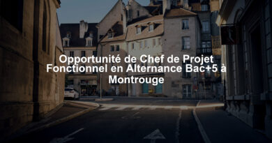 Opportunité de Chef de Projet Fonctionnel en Alternance Bac+5 à Montrouge