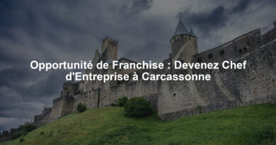 Opportunité de Franchise : Devenez Chef d'Entreprise à Carcassonne