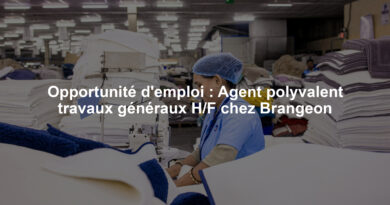Opportunité d'emploi : Agent polyvalent travaux généraux H/F chez Brangeon