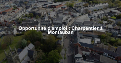 Opportunité d'emploi : Charpentier à Montauban