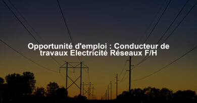 Opportunité d'emploi : Conducteur de travaux Electricité Réseaux F/H
