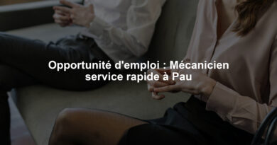 Opportunité d'emploi : Mécanicien service rapide à Pau