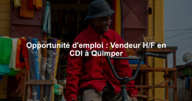 Opportunité d'emploi : Vendeur H/F en CDI à Quimper