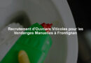Recrutement d'Ouvriers Viticoles pour les Vendanges Manuelles à Frontignan
