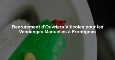 Recrutement d'Ouvriers Viticoles pour les Vendanges Manuelles à Frontignan