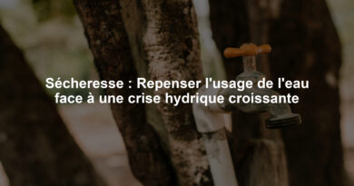 Sécheresse : Repenser l'usage de l'eau face à une crise hydrique croissante