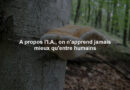 A propos l'I.A., on n'apprend jamais mieux qu'entre humains