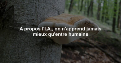 A propos l'I.A., on n'apprend jamais mieux qu'entre humains