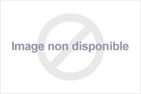 Rappel Consommateur – Détail CITIGO, FABIA, ROOMSTER, OCTAVIA, RAPID, SUPERB, YETI Voiture particulière Skoda