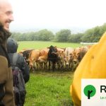 Des habitants achètent des terres pour les louer à des agriculteurs bio en France.
