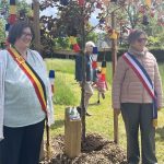 Seine-et-Marne : un arbre planté pour symboliser le jumelage avec une ville belge