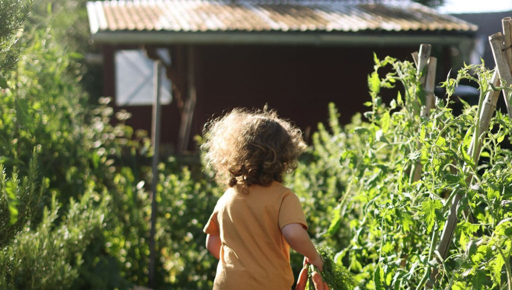 Plantes d’intérieur et potagers : astuces pour cultiver à petit prix en France.