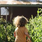 Plantes d&rsquo;intérieur et potagers : astuces pour cultiver à petit prix en France.