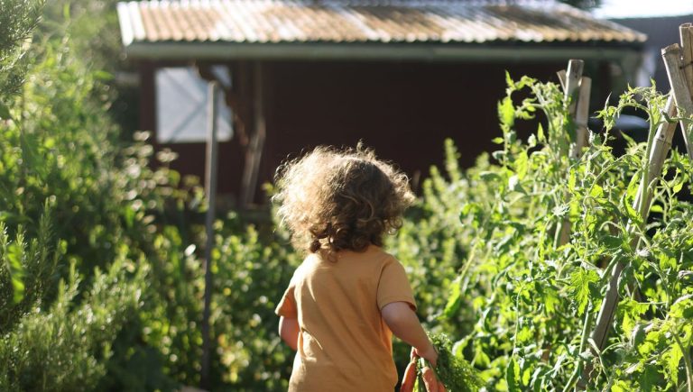Plantes d’intérieur et potagers : astuces pour cultiver à petit prix en France.