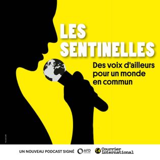 La francophonie économique en Afrique : enjeux et défis pour les pays membres.