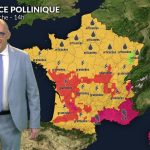 Pollens et allergies : la chaleur favorise la prolifération des allergènes en France.