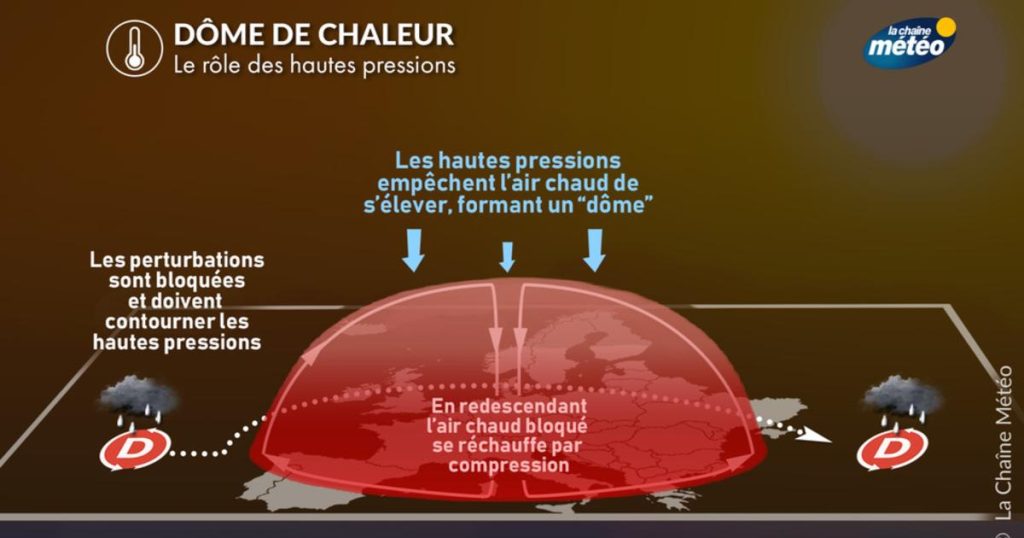 Vague de chaleur : plusieurs pays en alerte face à des records de température imminents