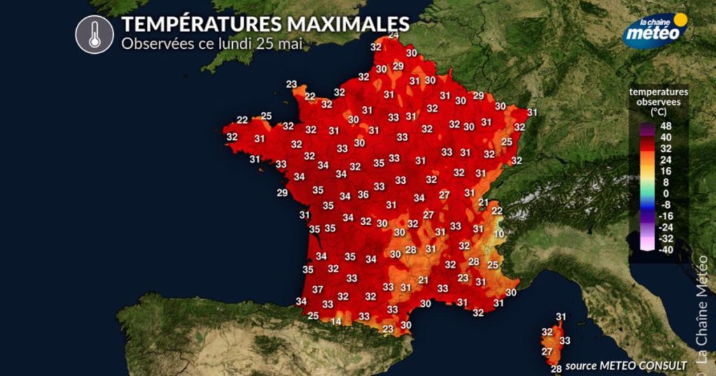 Vague de chaleur : plus de 300 records de chaleur battus, 37°C dans les Landes.
