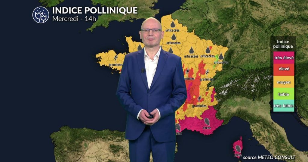 Canicule et ozone aggravent le pic allergique en France selon les prévisions météorologiques.