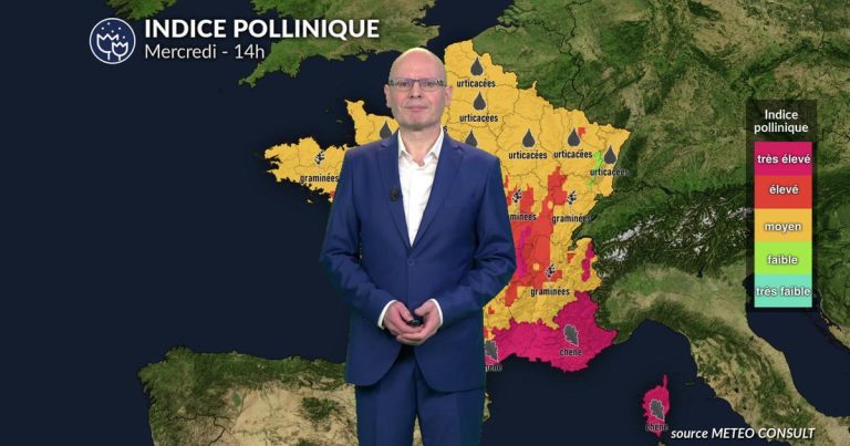 Canicule et ozone aggravent le pic allergique en France selon les prévisions météorologiques.