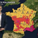 Vague de chaleur : dispersion active des pollens de graminées observée en France.