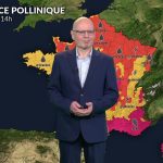 Canicule : les niveaux de pollen des graminées et cyprès atteignent des seuils critiques dans le sud et l&rsquo;ouest.