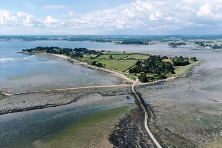 L’île Tascon, sanctuaire de biodiversité dans le golfe du Morbihan, menacée par l’urbanisation.