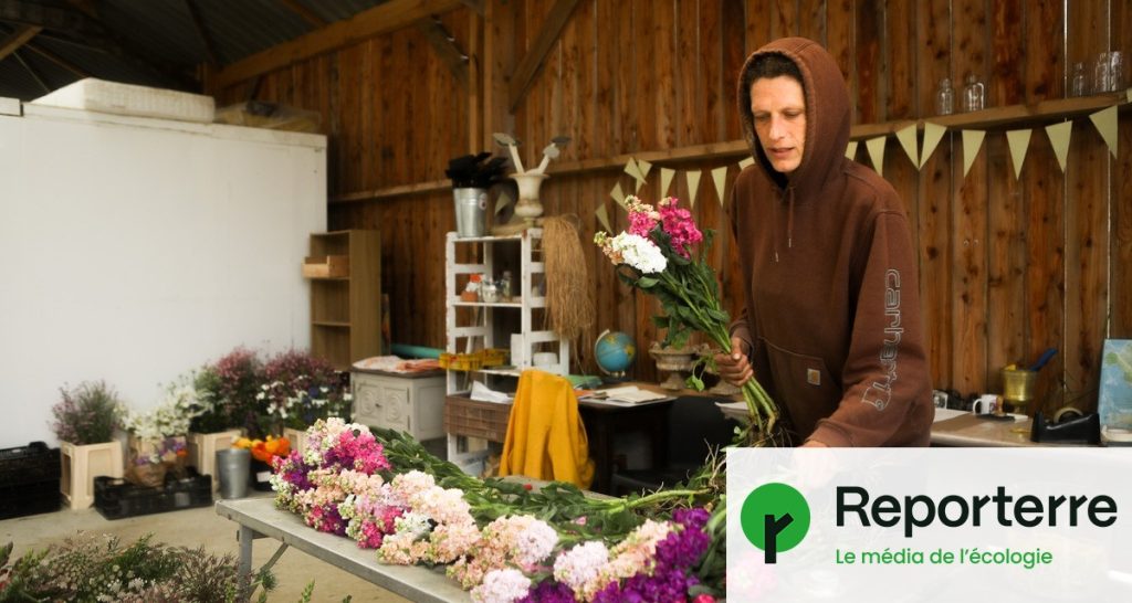 Augmentation des installations de fleurs bio en France face à la demande croissante.