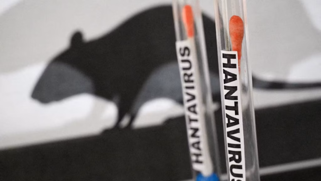 Ushuaïa : capture de rats pour lutter contre l’épidémie de Hantavirus