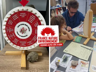 Le jeu « La roue du hérisson » suscite l’intérêt des écoles françaises pour l’éducation ludique.