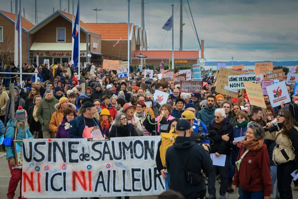 Saumon de l’estuaire de la Gironde : tensions entre pêcheurs et écologistes.