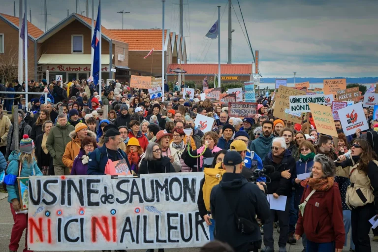 Saumon de l’estuaire de la Gironde : tensions entre pêcheurs et écologistes.