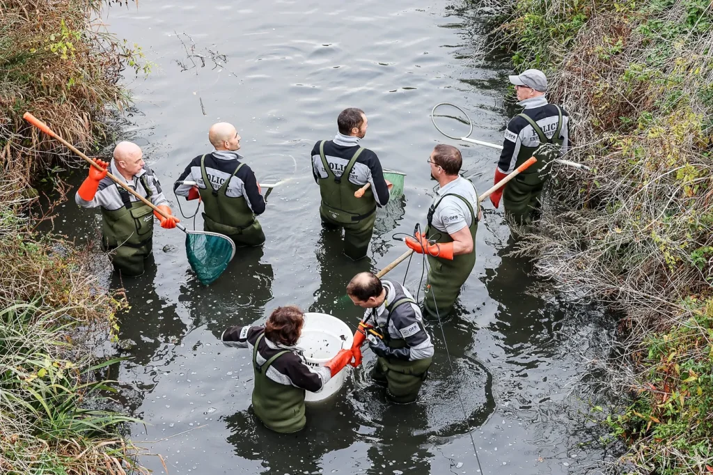 La Cour des comptes souligne les menaces et violences contre la police de l’eau en France.