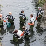 La Cour des comptes souligne les menaces et violences contre la police de l&rsquo;eau en France.