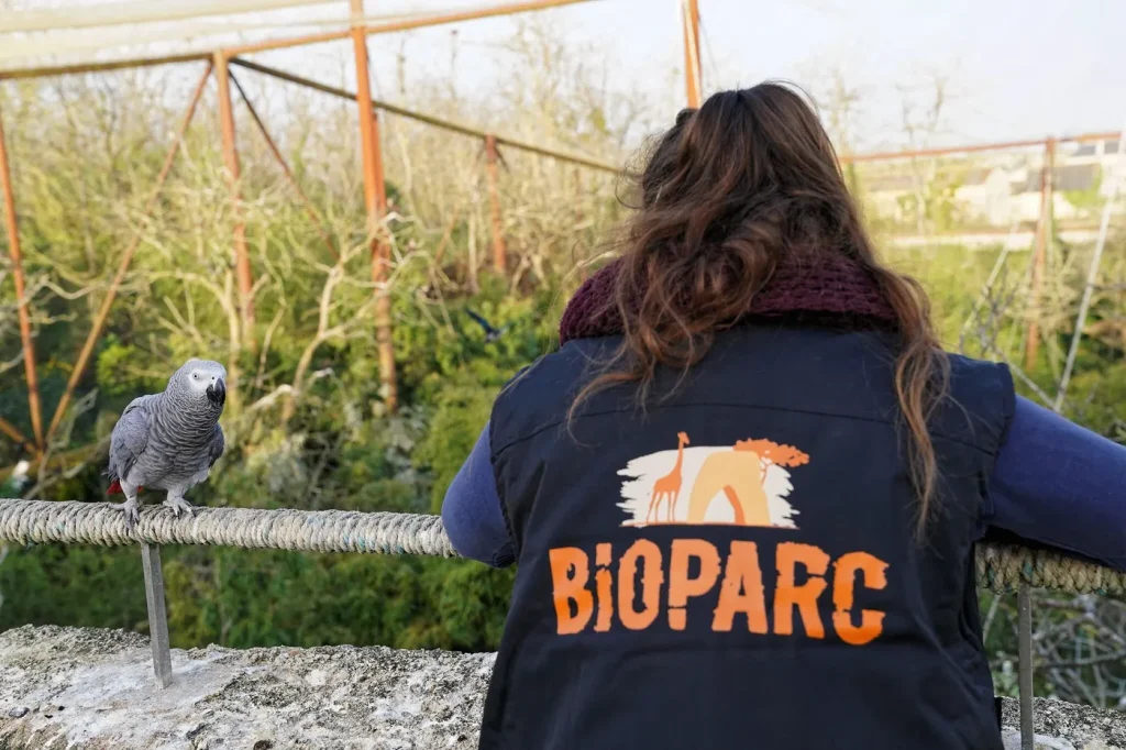 Le Bioparc reconnu mondialement pour ses pratiques éthiques en matière de zoologie