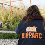 Le Bioparc reconnu mondialement pour ses pratiques éthiques en matière de zoologie