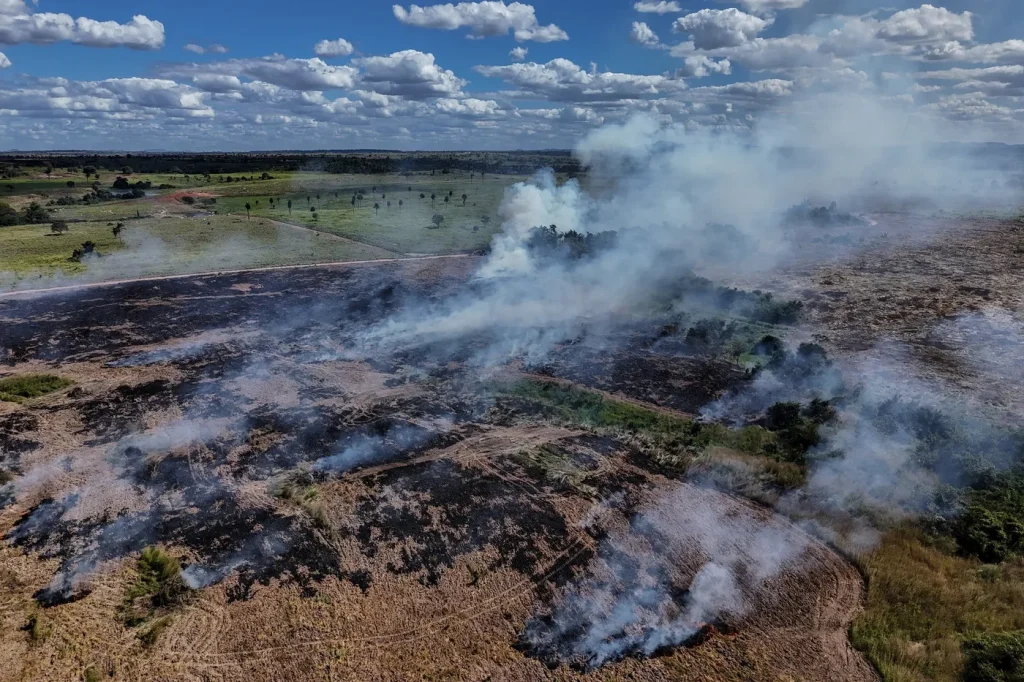 Brésil : la déforestation en Amazonie atteint son niveau le plus bas depuis des décennies