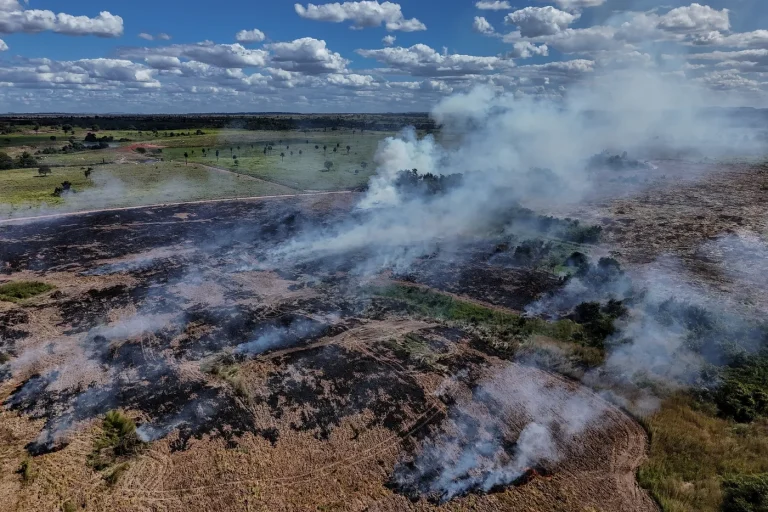 Brésil : la déforestation en Amazonie atteint son niveau le plus bas depuis des décennies